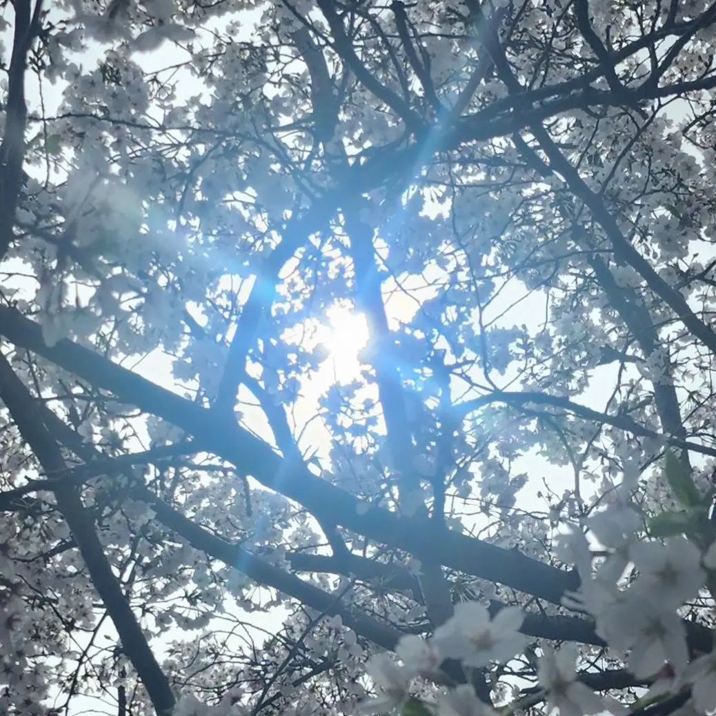 TealFresh4785의 마음대로 하세요