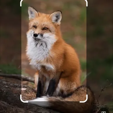 Profile image of 비윤