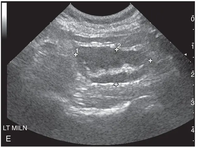 Profile image of Qaz