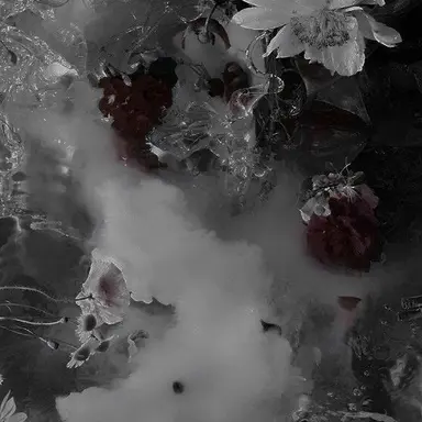 Profile image of 立花 仙蔵