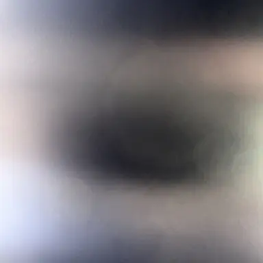 Profile image of 오시온