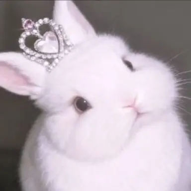 Profile image of 황 수현