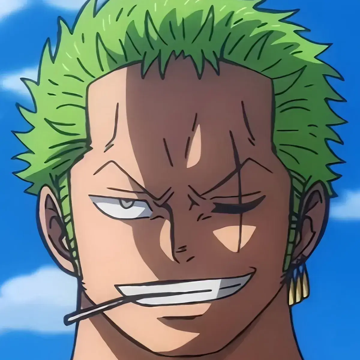 YummyGar0822의 Zoro