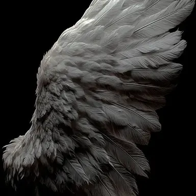 Profile image of J3