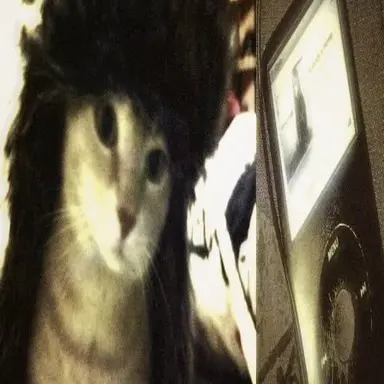 Profile image of ユウシ