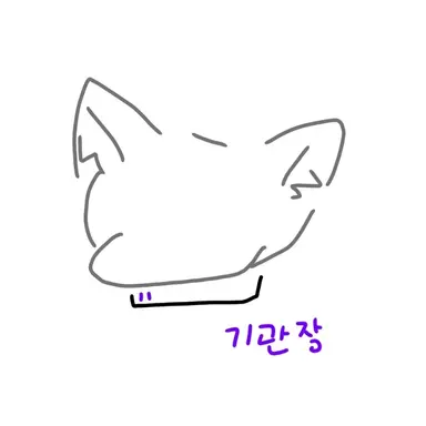 Profile image of 리온