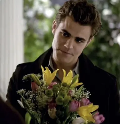Profile image of Stefan Salvatore