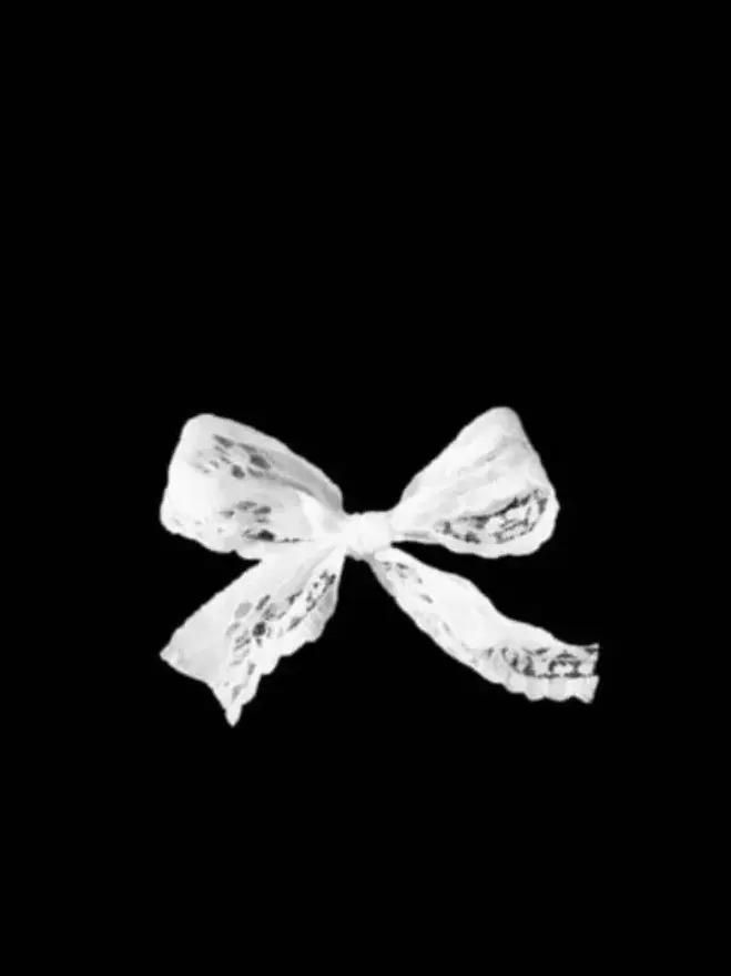 SorryIdea9598의 奪い合い