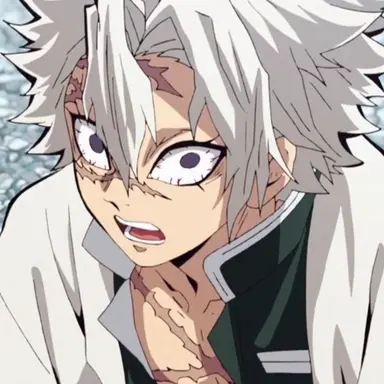 Profile image of Sanemi Shinazugawa