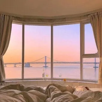 Profile image of 유우시