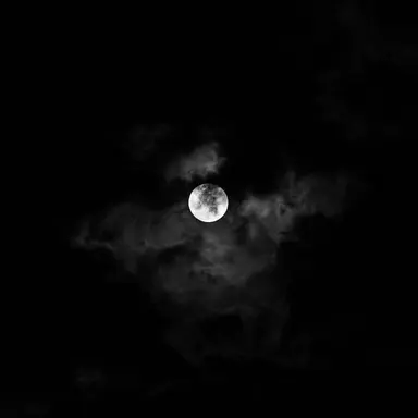 Profile image of 김홍식