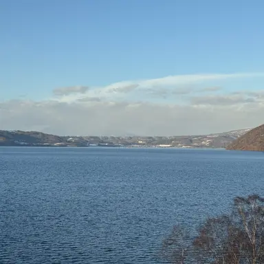 Profile image of 真子