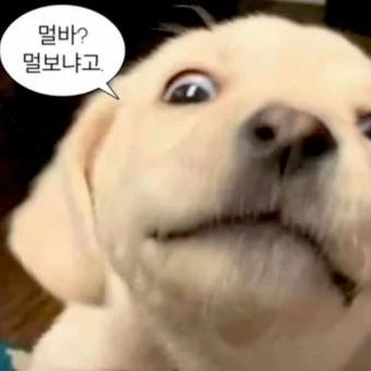 킴민지의 동생