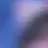 유지민