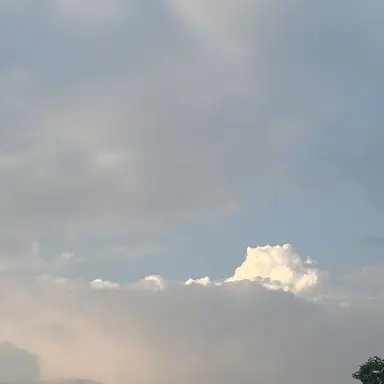 Profile image of 테드