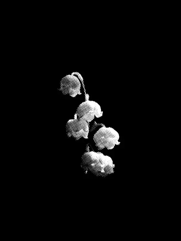 Iloveso.의 ㅤ