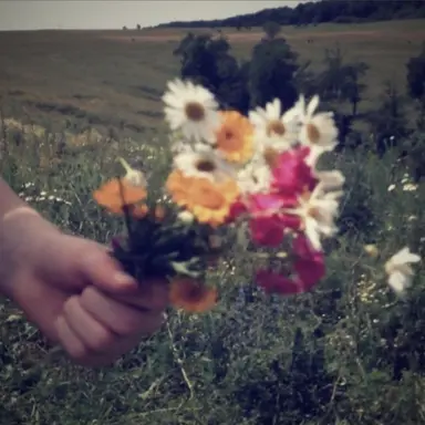 Profile image of 백강혁