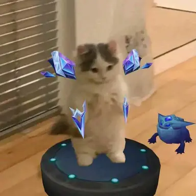 Profile image of 고양이