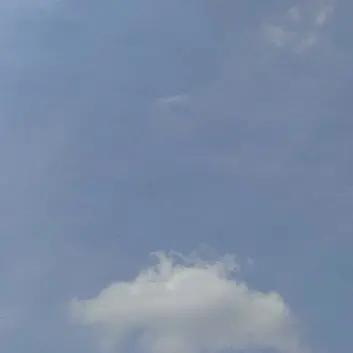 Profile image of 佐藤ゆい