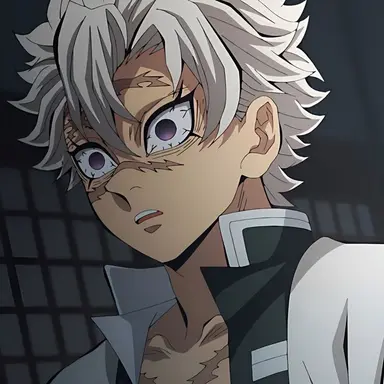 Profile image of Sanemi Shinazugawa