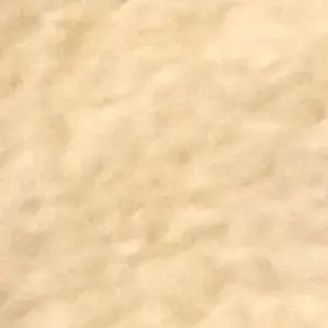 Profile image of 궍숞영