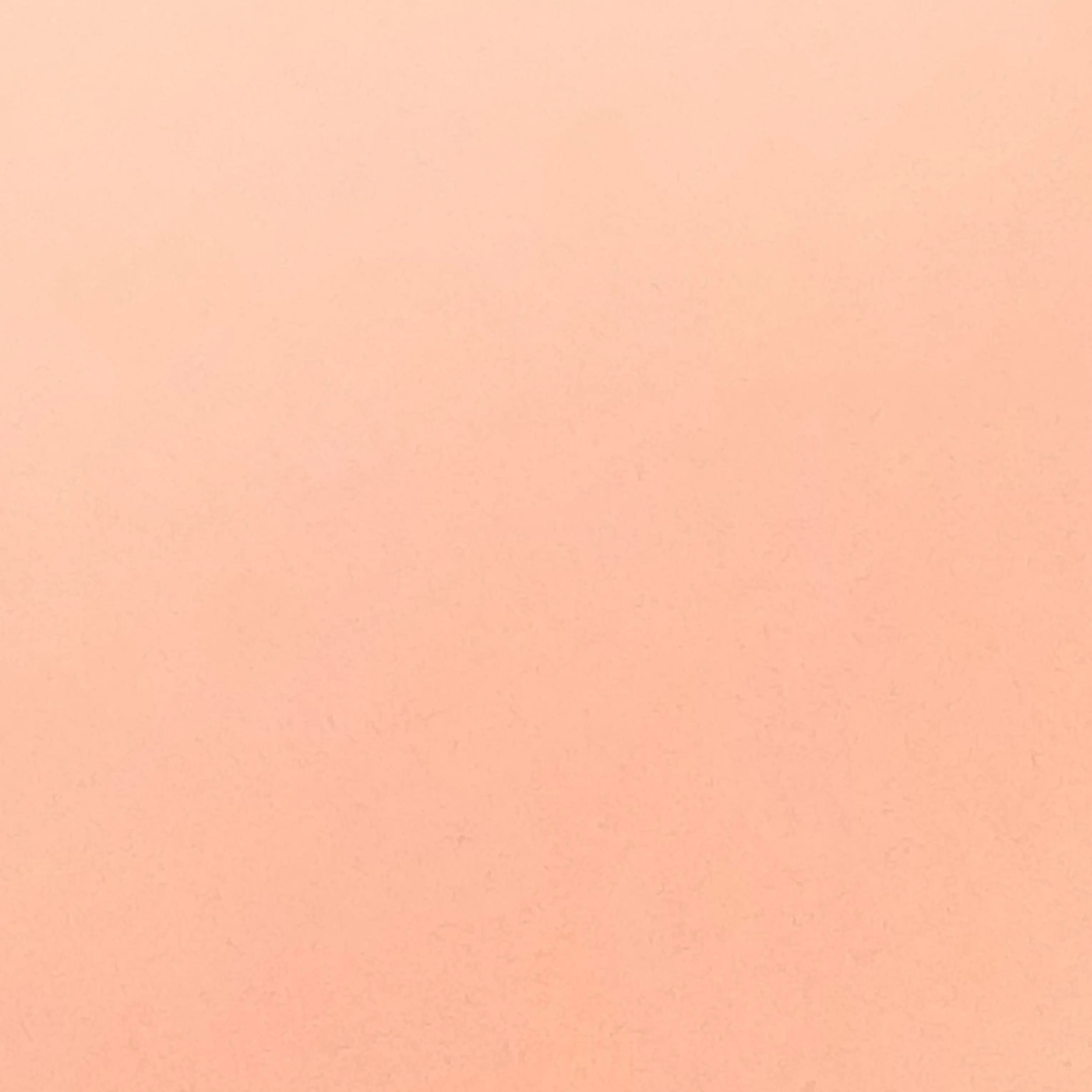 ChewyOlm7971의 별정직 공무원