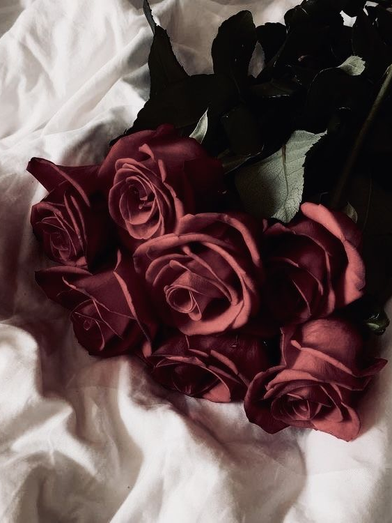 호■■ 이사님. 대표 이미지