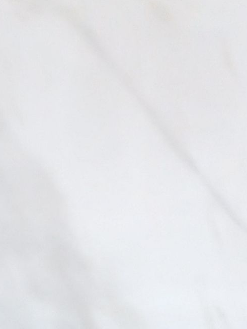 좀비 팀나빠인데...여우가? 대표 이미지