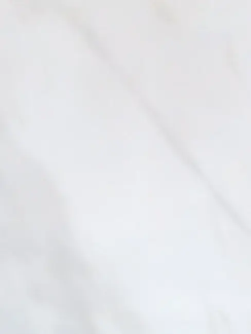 Alice_375v의 좀비 팀나빠인데...여우가?