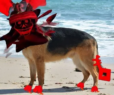 Profile image of 게스트 666