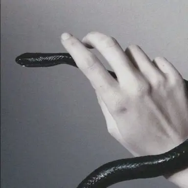 Profile image of アステリア