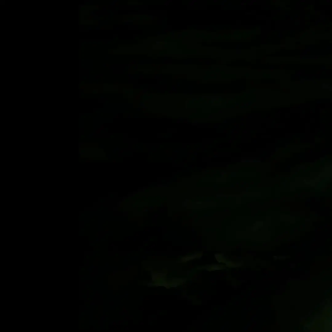 CrispyRisk6674의 미스터리 수사반2(은조도 섬마을 집