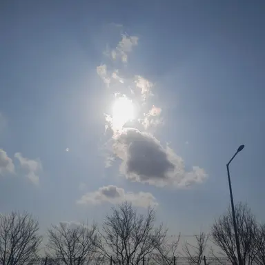 Profile image of 김각별