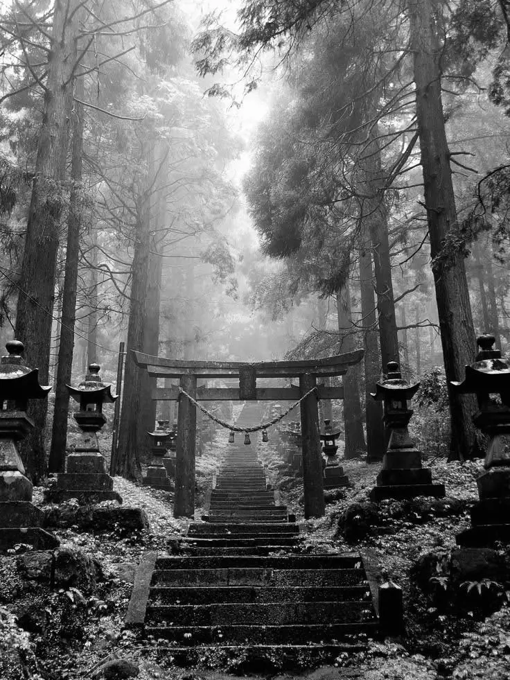 ohuro_pokapoka의 縺シ縺上?縺九∩縺輔∪