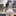 똥 참기 게임