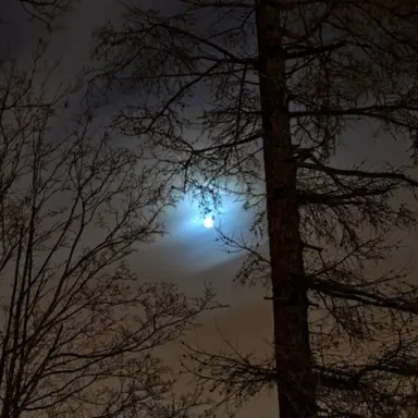 Profile image of 김민정