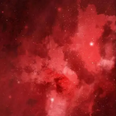 Profile image of 마플