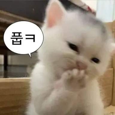 Profile image of 송진아