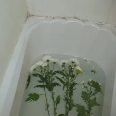 Profile image of Le0n