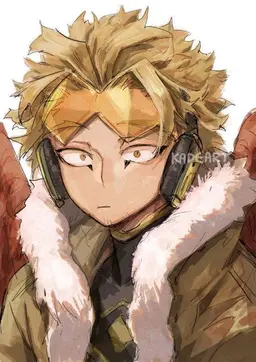 Profile image of Hawks