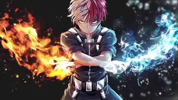 Profile image of Shoto Todoroki