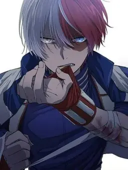 Profile image of Shoto Todoroki