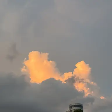 Profile image of 여우