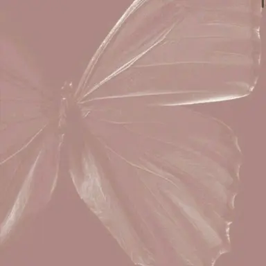 Profile image of リリカ