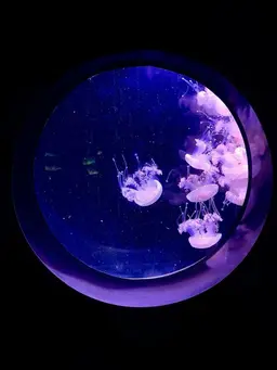 Profile image of ス警部