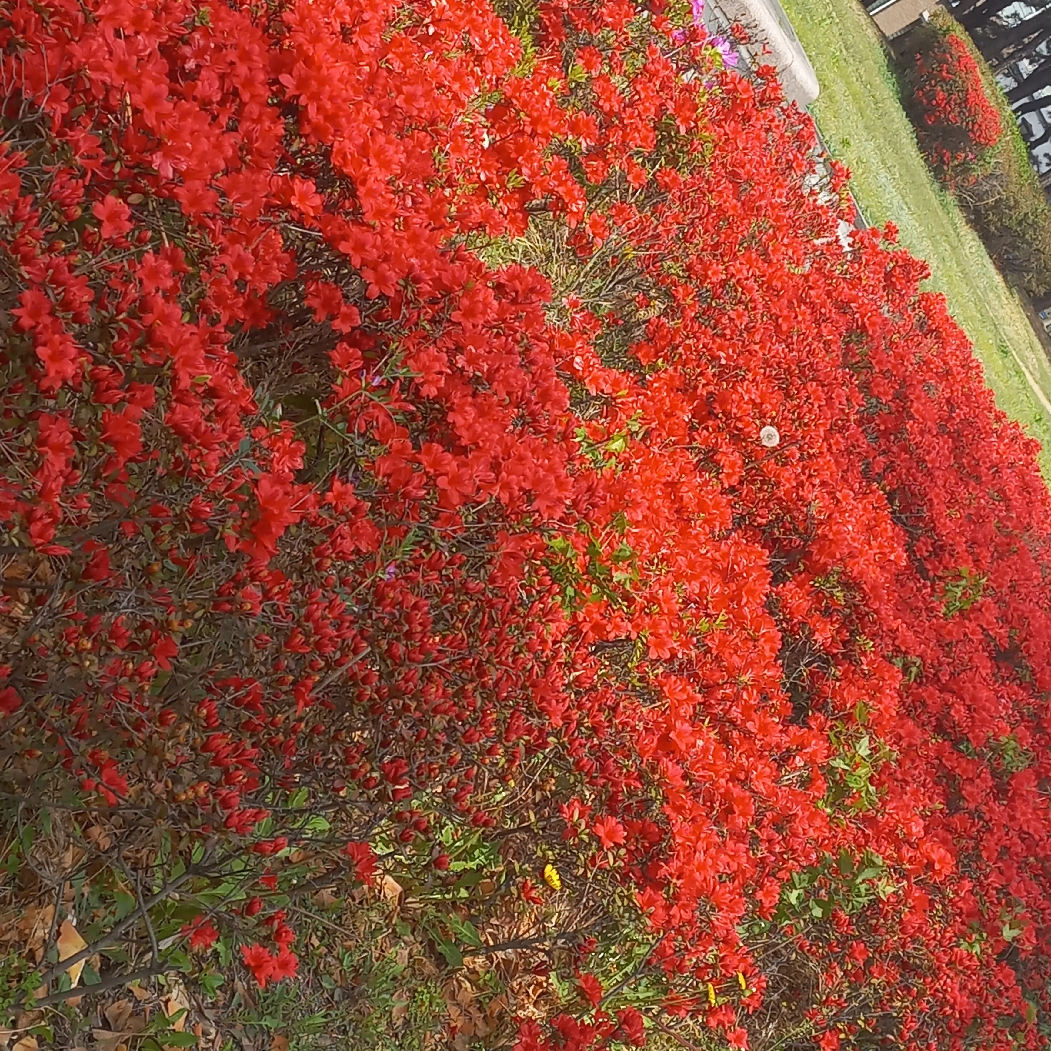 SnowyCrisp9569의 의사 아빠들(올림포스신들.버전)