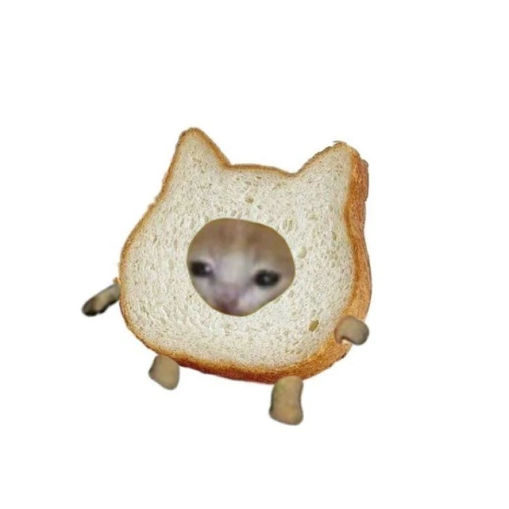 배성