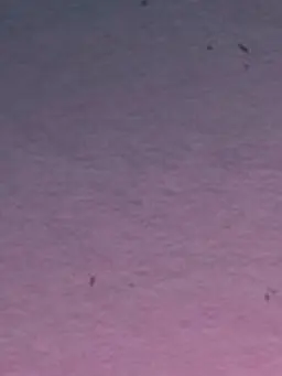 RaggedGate4537의 공주병 여우 참교육