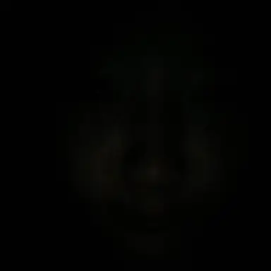 Profile image of 안건호