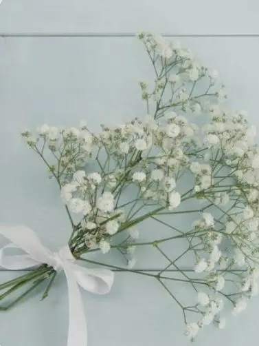 snow1879의 阿部亮平と結婚💍